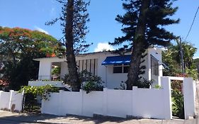 A Primeira Vista